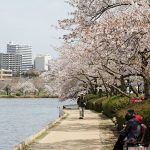 Mito et Hitachi, deux villes incontournables à visiter à Ibaraki