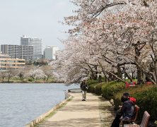 Mito et Hitachi, deux villes incontournables à visiter à Ibaraki