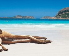 Partir en vacances en Australie : à quoi penser ?