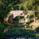 Faire du camping dans le Pays de la Loire : une solution pour passer des vacances en plein air