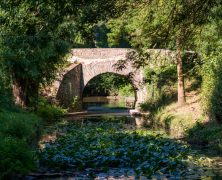 Faire du camping dans le Pays de la Loire : une solution pour passer des vacances en plein air