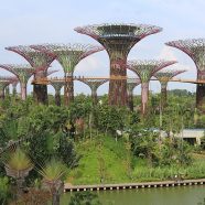 Singapour, une destination asiatique qui vous dépaysera