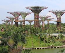 Singapour, une destination asiatique qui vous dépaysera