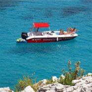 Les bons à savoir avant de visiter les Calanques