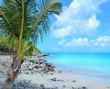 Comment profiter de ses vacances sur une île ?