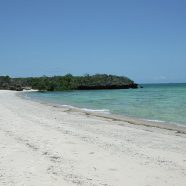 Quelques activités à faire aux Quirimbas en Mozambique