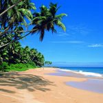 Les meilleures découvertes à faire au Sri Lanka