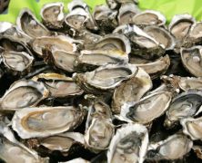 Voyage gustatif au cœur du Bassin d’Arcachon !