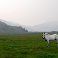 La Mongolie, une destination touristique de choix