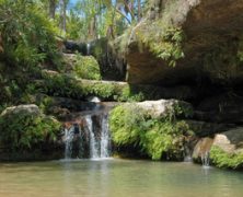 3 parcs nationaux à ne pas manquer lors d’un voyage à Madagascar