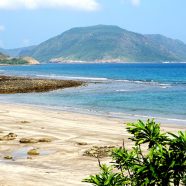 Les îles de Côn Đảo: paradis caché du Vietnam
