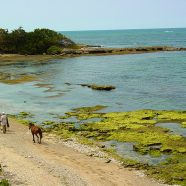 Tourisme en République dominicaine : les villes à découvrir