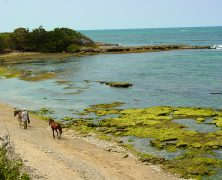 Tourisme en République dominicaine : les villes à découvrir