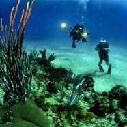 Débuter la plongée sous-marine en vacances