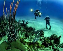 Débuter la plongée sous-marine en vacances