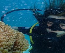 5 destinations de rêves pour la plongée sous-marine