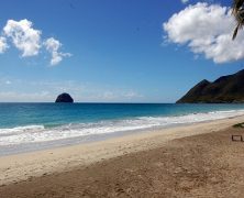 Pourquoi partir en Martinique ?