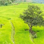 La route entre Chiang Mai et Sukhôtai