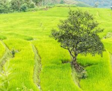 La route entre Chiang Mai et Sukhôtai