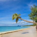 Préparez votre voyage à la Martinique pour un séjour de rêve