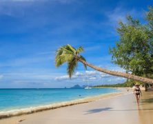 Préparez votre voyage à la Martinique pour un séjour de rêve