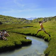 Vacances d’été : les bonnes raisons de choisir l’altitude