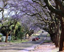 Escapade en Afrique du Sud, visiter la ville de Pretoria