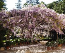 4 visites incontournables lors d’un séjour à Malaga