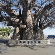 À la découverte de la ville de Majunga à Madagascar