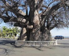 À la découverte de la ville de Majunga à Madagascar