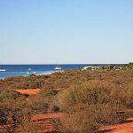 Séjour en Australie :  top 3 des parcs marins à visiter
