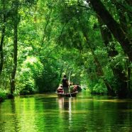 Le marais poitevin, ressourcez-vous dans une zone humide