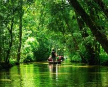 Le marais poitevin, ressourcez-vous dans une zone humide