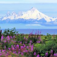 5 choses à faire en Alaska pour cette année 2021