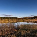 Les plus belles réserves naturelles à visiter en Belgique