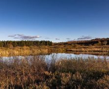 Les plus belles réserves naturelles à visiter en Belgique