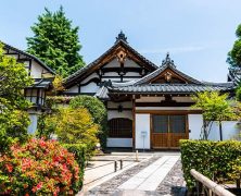 Vacances au Japon : les activités insolites à faire à Tokyo