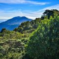 Séjour écotouristique au Costa Rica