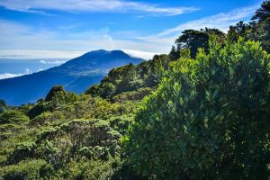Séjour écotouristique au Costa Rica
