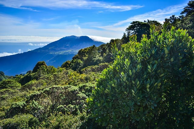 Séjour écotouristique au Costa Rica