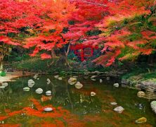 Quelques magnifiques jardins botaniques à voir dans le monde