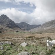 Le parc national de Snowdonia : que voir et que faire ?