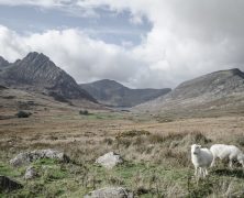 Le parc national de Snowdonia : que voir et que faire ?