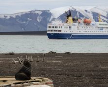 Que vous réserve une croisière en Antarctique ?  