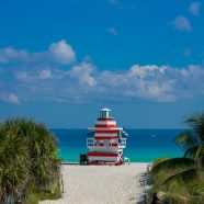 Voyage en Floride : explorer Sarasota et ses plus beaux attraits