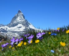 Pourquoi choisir les Alpes Suisse pour les vacances ?