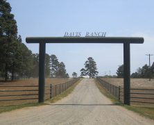 Pourquoi passer des vacances en famille dans un ranch au Texas ?