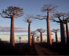 Top 3 des destinations côtières à visiter à Madagascar