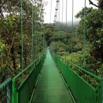 Voyage au Costa Rica : découvrir des chutes d’eau grandioses