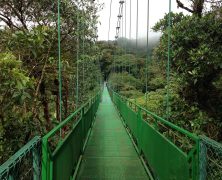Voyage au Costa Rica : découvrir des chutes d’eau grandioses